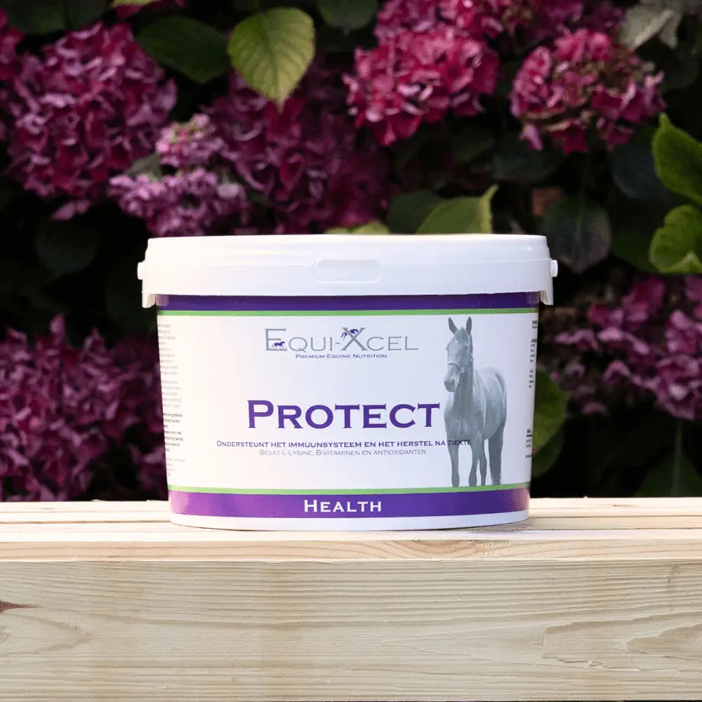 Protect - Afbeelding 2