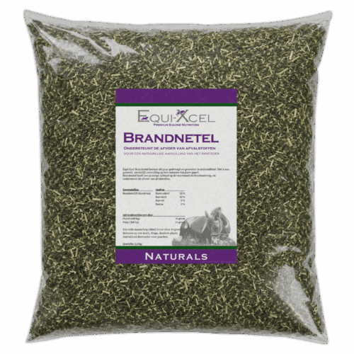 Brandnetel