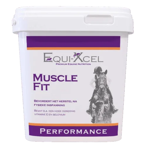 Muscle Fit