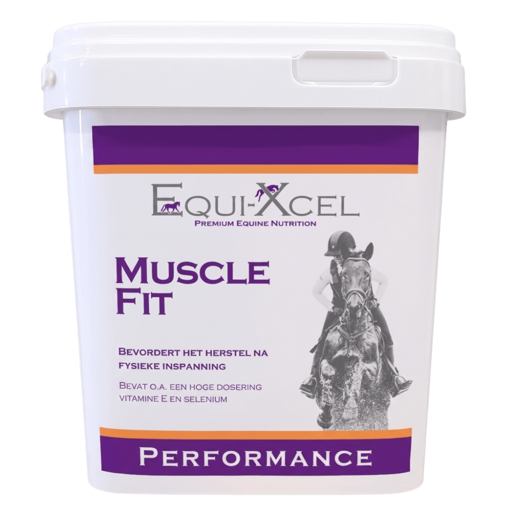 Muscle Fit