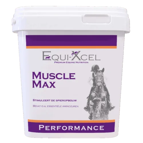 Muscle Max
