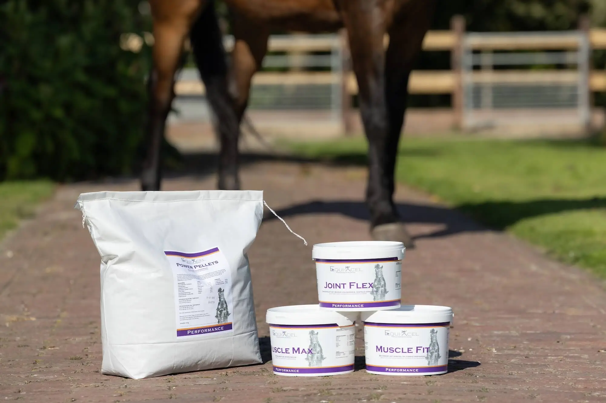 custom-made-supplementen-paard