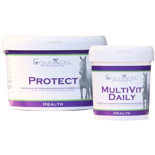 Immunity Boost