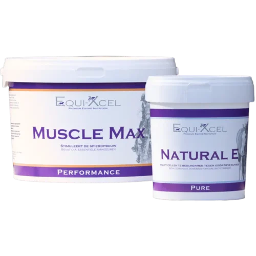 Muscle Power