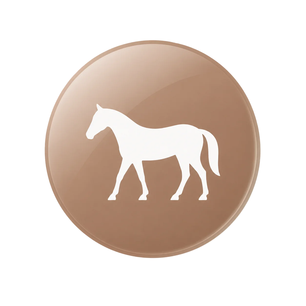 Bronzen badge