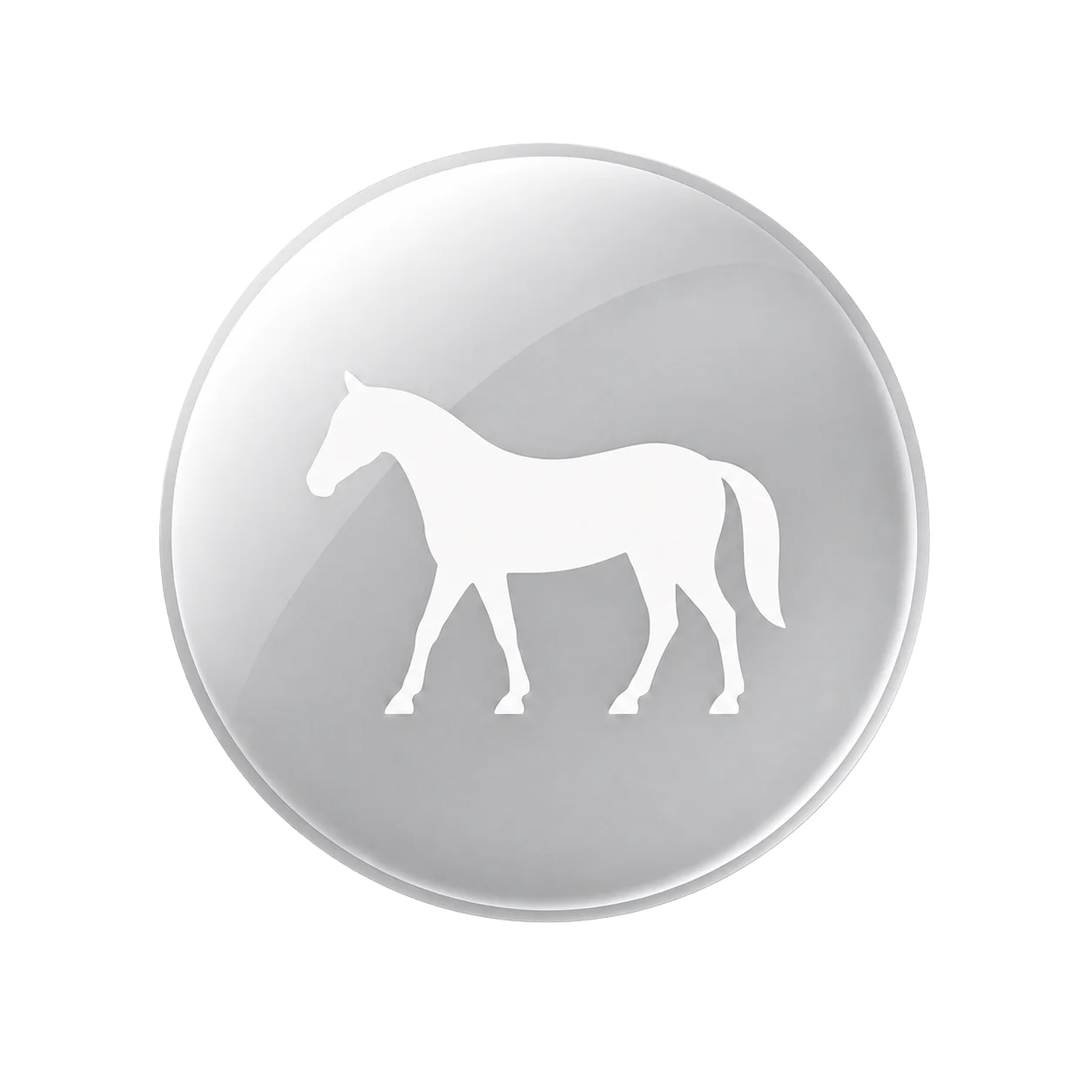 Zilveren badge