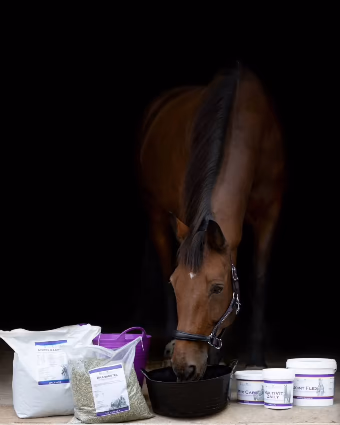 Paard naast verschillende voeders en supplementen van Equi-Xcel